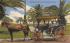 An Old Landmark of St. Augustine, FL, USA St Augustine, Florida Postcard