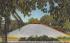 The Famous Shell Mound on The Southside  St Petersburg, Florida Postcard