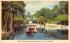 Way Down Upon the Suwannee River in Florida Postcard