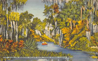 Along the Beautiful Anclote River Tarpon Springs, Florida Postcard