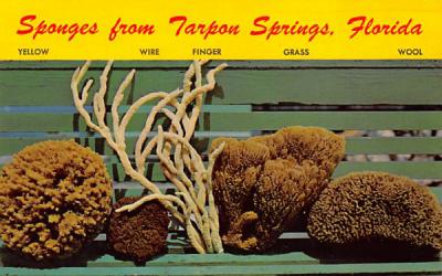 Sponges from Tarpon Springs, Florida, USA Postcard