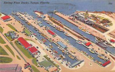 Shrimp Fleet Docks Tampa, Florida Postcard