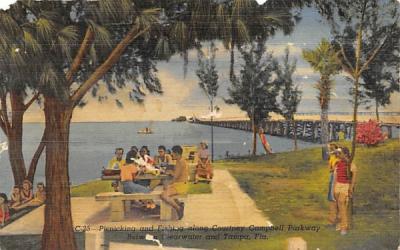 Picnicking and Fishing, Courtney Campbell Parkway Tampa, Florida Postcard