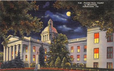 Florida State Capitol by Moonlight Postcard