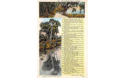 The Tamiami Trail Florida Postcard