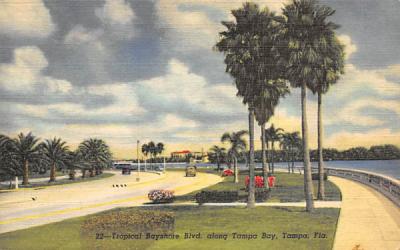 Tropicla Bayshore Blvd. along Tampa Bay Florida Postcard