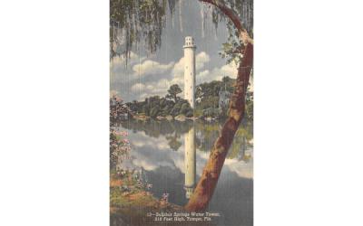 Sulphur Springs Water Tower Tampa, Florida Postcard