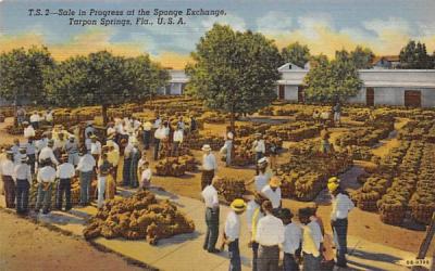 Sale in Progress at the Sponge Exchange Tarpon Springs, Florida Postcard
