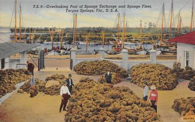 Overlooking Part of Sponge Exchange and Sponge Fleet Tarpon Springs, Florida Postcard