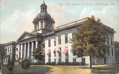The State Capitol of Florida, USA Postcard