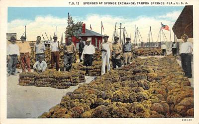 Sponges at Sponge Exchange Tarpon Springs, Florida Postcard