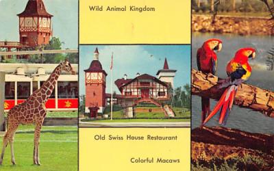 Southern Home of Anheuser-Busch, INC Tampa, Florida Postcard