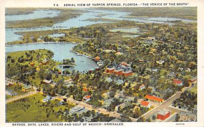 Aerial View of Tarpon Springs, FL, USA Florida Postcard