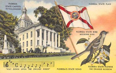 Florida State Capitol in Tallahassee, USA Postcard