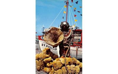 Sponge Diver with his Fine Catch of Sponges  Tarpon Springs, Florida Postcard