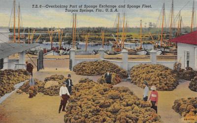 Part of Sponge Exchange and Sponge Fleet Tarpon Springs, Florida Postcard