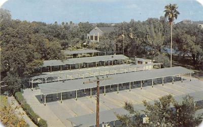 Shuffleboard courts maintained, Recreation Department  Tampa, Florida Postcard