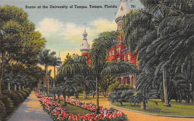 Scene at the University of Tampa, FL, USA Florida Postcard