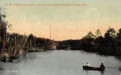 On the Hillsborough River Tampa, Florida Postcard