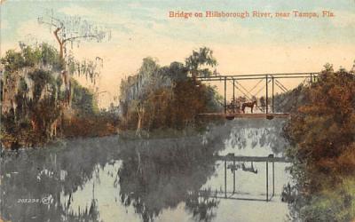 Bridge on Hillsborough River, Near Tampa Florida Postcard