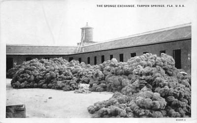 The Sponge Exchange Tarpon Springs, Florida Postcard