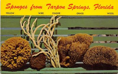 Sponges from Tarpon Springs, FL, USA Florida Postcard