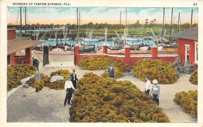 Sponges at Tarpon Springs, FL, USA Florida Postcard