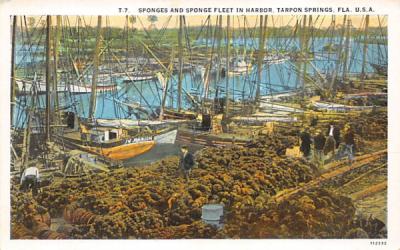 Sponges and Sponge Fleet in Harbor Tarpon Springs, Florida Postcard