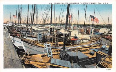 Sponge Fleet in Harbor Tarpon Springs, Florida Postcard