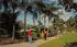 One of the many beautiful walkways at Busch Gardens Tampa, Florida Postcard
