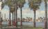 Tampa, FL from Tropical Man-Made Davis Island Florida Postcard