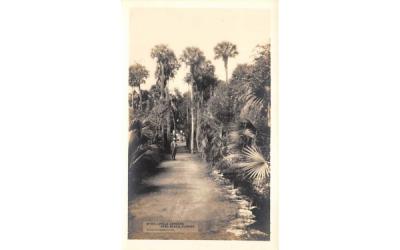 M'Kee Jungle Gardens Vero Beach, Florida Postcard