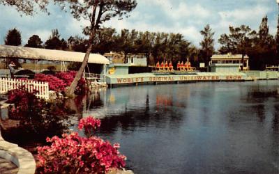 Weeki Wachee Springs Florida Postcard