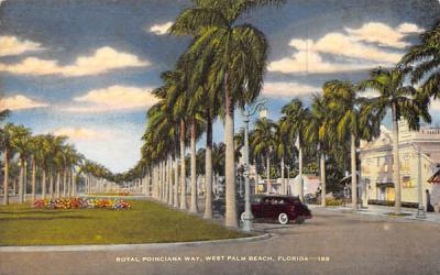 Royal Poinciana Way West Palm Beach, Florida Postcard