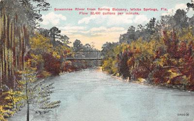 Suwannee River from Spring Balcony White Springs, Florida Postcard