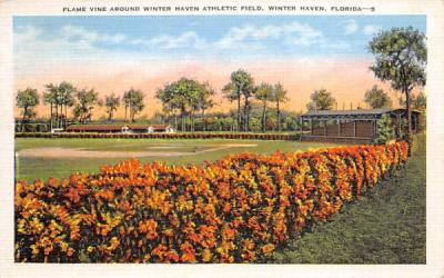 Flame Vine Around Winter Haven Athletic Field Florida Postcard