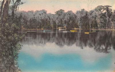 Glass-Bottom Boat and Bathing Floats Wakulla Springs, Florida Postcard