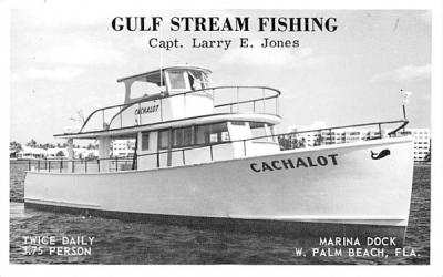 Gulf Stream Fishing  West Palm Beach, Florida Postcard