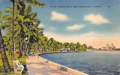 Along Flagler Drive West Palm Beach, Florida Postcard