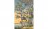 Lake Eloise From Florida Cypress Gardens Postcard