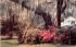 Romantic Spanish moss and colorful azaleas Winter Park, Florida Postcard