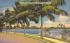 Flagler Drive West Palm Beach, Florida Postcard