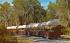 Weeki Wachee's Covered Wagon Train  Florida Postcard