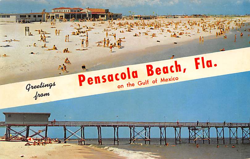 Pensacola Beach  We Love It   Sea Oats and Coast Line   FL   Unused  Postcard 