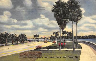 Tampa FL