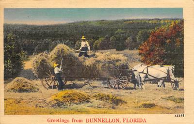 Dunnellon FL