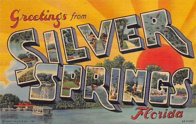 Silver Springs FL