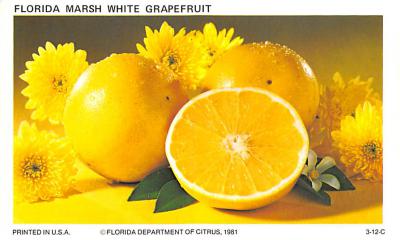 Grapefruit Groves FL
