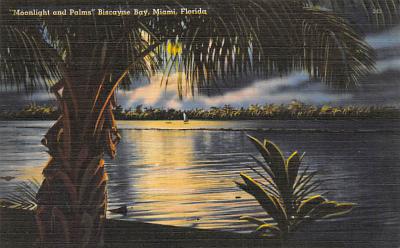 Miami  FL