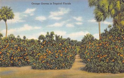 Orange Groves FL
